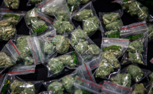 Industria de la marihuana